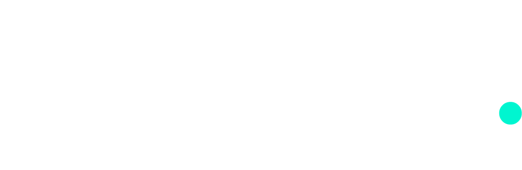 Negeka Logo White